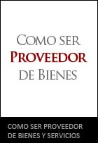 COMO SER PROVEEDOR DE BIENES Y SERVICIOS